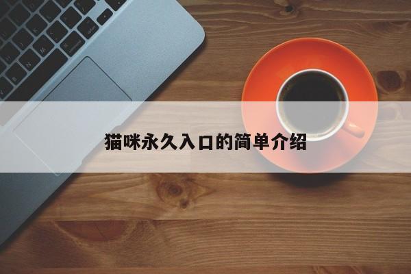 猫咪永久入口的简单介绍