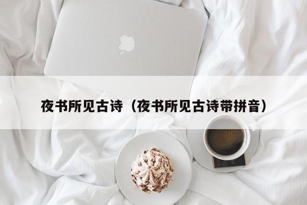 夜书所见古诗(夜书所见古诗带拼音)